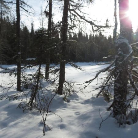Residence Touristique Lodge Des Bois Сен-Феликс-д'Оти Экстерьер фото