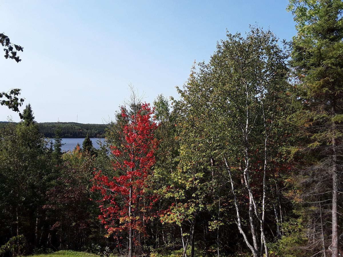 Residence Touristique Lodge Des Bois Сен-Феликс-д'Оти Экстерьер фото